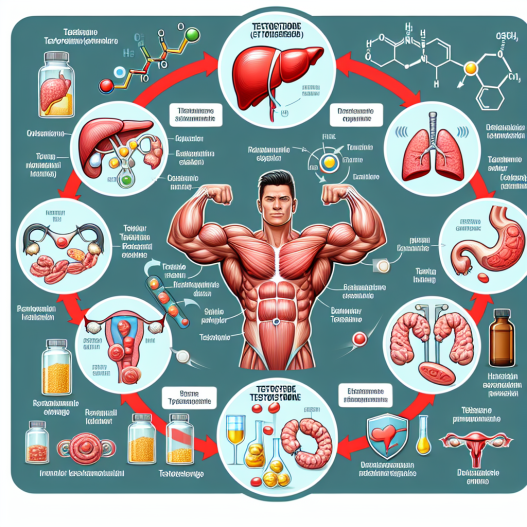 Spécificités de l'utilisation de la testostérone dans les cycles de prise de masse musculaire
