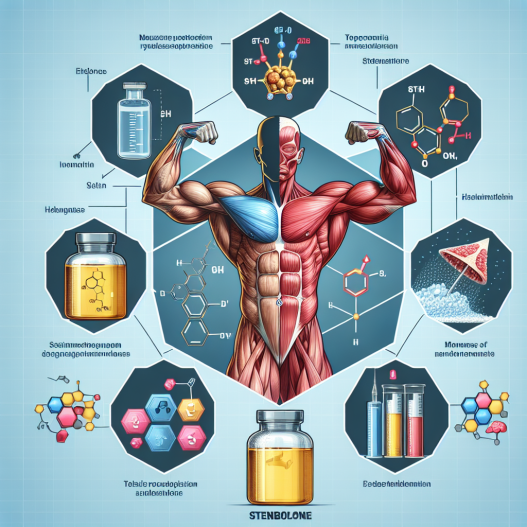 Stenbolone et amélioration de l'hydratation musculaire