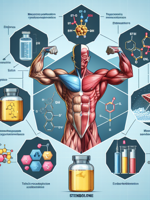 Stenbolone et amélioration de l'hydratation musculaire